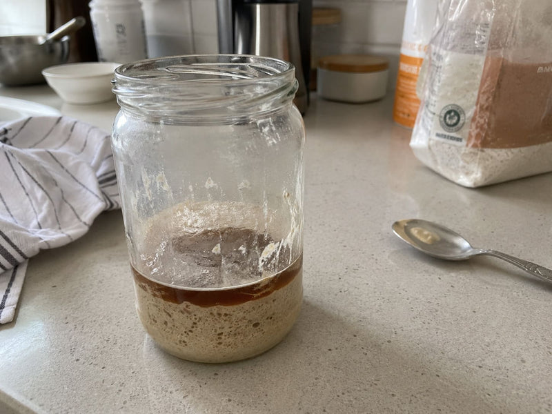 Is My Sourdough Starter Dead?