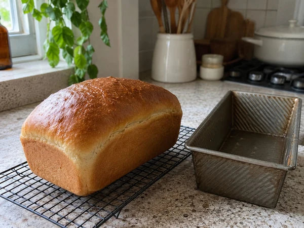 Why Is My Sourdough Sticking to the Loaf Pan?