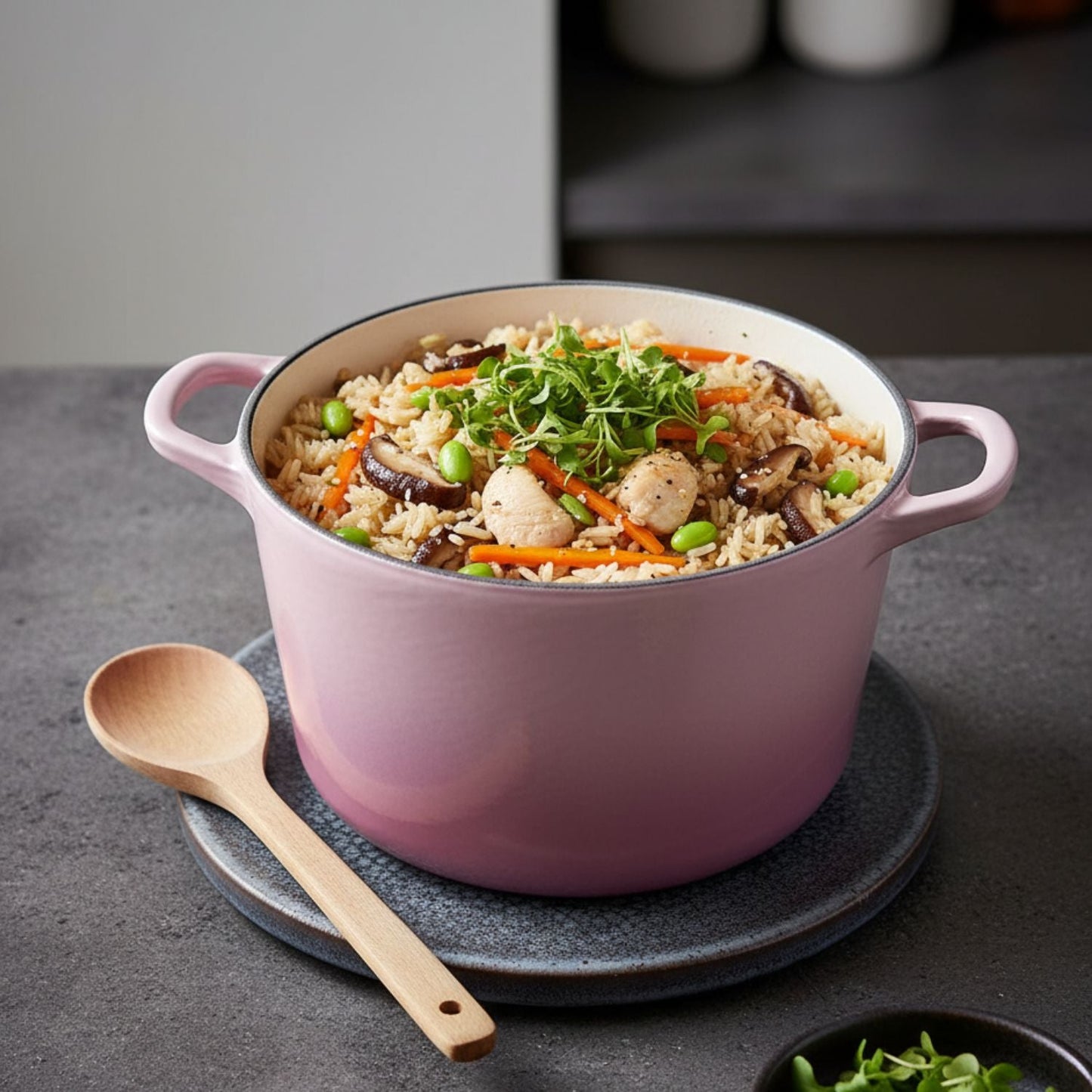 Enamelled Cast Iron Rice Pot