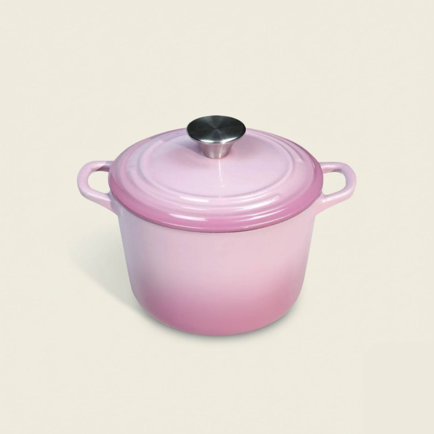 Enamelled Cast Iron Rice Pot